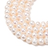 Natural Cultured Freshwater Pearl Beads Strands PA-CBABE82-15A-3