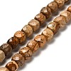 Natural Picture Jasper Beads Strands G-H078-C14-01-1