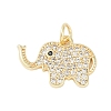 Rack Plating Brass Cubic Zirconia Pendants KK-Z060-17G-1
