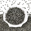 Silver Lined Glass Seed Beads SEED-T007-18A-04-2