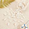 Natural Trumpet Shell Beads BSHE-SC0001-03-4