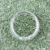 FGB 11/0 Grade A Glass Seed Beads X-SEED-S030-1217-3