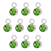 10Pcs Glass Rhinestone Charms STAS-TA0003-26J-1