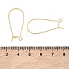 SHEGRACE Brass Kidney Ear Wire XGR0004G-43G-3