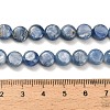 Natural Kyanite Beads Strands G-H335-K01-8mm-5