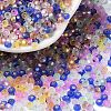 8/0 Glass Seed Beads SEED-Z001-C-E15-1