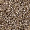 MIYUKI Round Rocailles Beads X-SEED-G009-RR2359-3