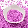 Baking Paint Glass Seed Beads X-SEED-S042-05B-90-2