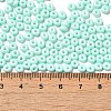 Baking Paint Glass Seed Beads X1-SEED-B001-02A-14-4