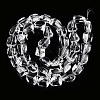 Transparency Glass Beads Strands X-GLAA-T023-15-2