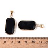 Natural Black Onyx(Dyed & Heated) Pendants G-N349-03B-G-3
