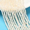 Natural Cultured Freshwater Pearl Beads Strands PEAR-C004-02B-1