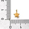 304 Stainless Steel Charms STAS-R159-58G-4