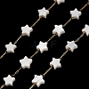Handmade 304 Stainless Steel Shell Star Link Chains CHS-B011-01B-G-1
