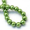 Baking Paint Pearlized Glass Pearl Round Bead Strands HY-Q003-4mm-13-4
