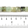 Natural Prehnite Beads Strands G-C109-A05-01-5