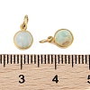 Ion Plating(IP) Natural Amazonite Half Round Charms with Jump Ring STAS-A097-05G-13-3
