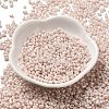 Glass Seed Beads SEED-K009-02A-01-2