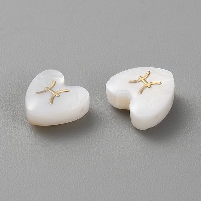 5Pcs Natural White Shell Beads LS-BSHE-TAC0004-02D-1
