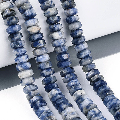 Natural Blue Spot Jasper Beads Strands G-N357-14A-04-1