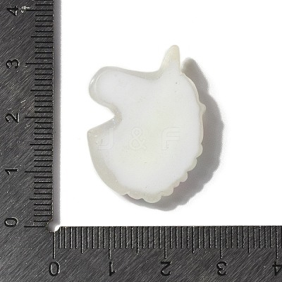 Summer Theme Opaque Resin Cabochons RESI-G106-01A-1