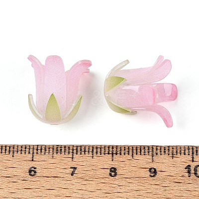 Heat Shrink Acrylic Bead Caps OACR-N155-04B-1