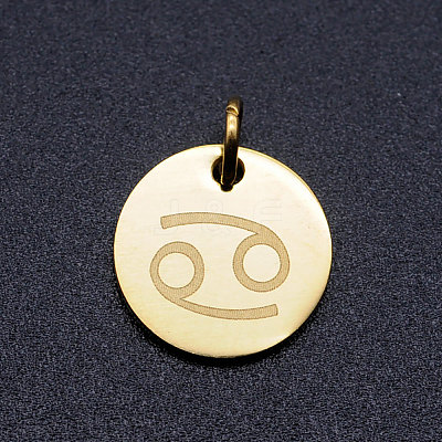 201 Stainless Steel Charms STAS-T049-T644-4G-1