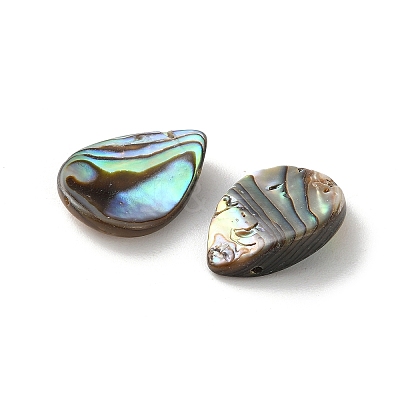 Natural Paua Shell Beads SSHEL-F305-02B-1