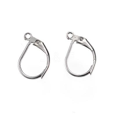 Tarnish Resistant 304 Stainless Steel Leverback Earring Findings STAS-D448-042P-1