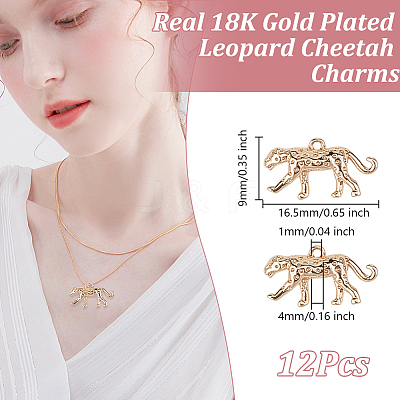 12Pcs Brass Charms KK-GO0002-28-1