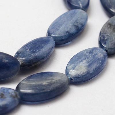 Oval Natural Kyanite/Cyanite/Disthene Bead Strands G-O139-01H-1