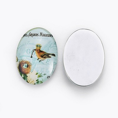 Transparent Glass Cabochons GGLA-MSMC002-07-1