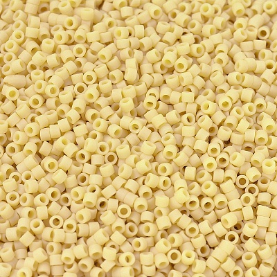 MIYUKI Delica Beads X-SEED-J020-DB1581-1