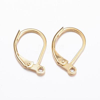 304 Stainless Steel Leverback Earring Findings STAS-P166-12G-1
