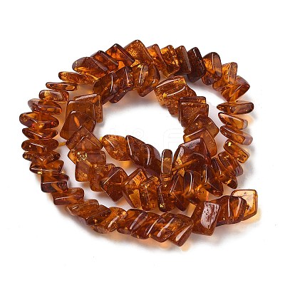 Natural Amber Beads Strands G-K376-C01-01-1