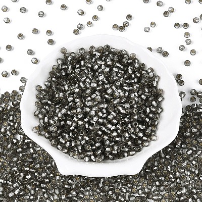 Silver Lined Glass Seed Beads SEED-T007-18A-04-1