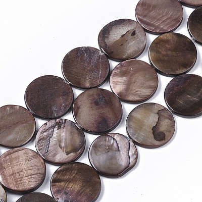 Freshwater Shell Beads Strands SHEL-T014-011-1