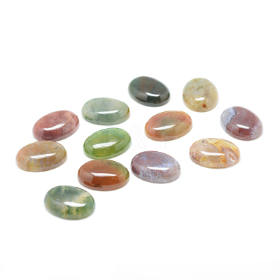 Natural Indian Agate Gemstone Cabochons G-T020-10x14mm-27-1