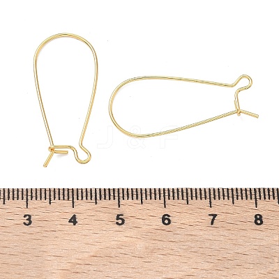 SHEGRACE Brass Kidney Ear Wire XGR0004G-43G-1