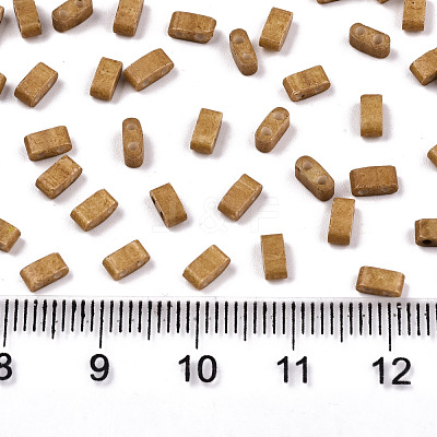 FGB 2-Hole Glass Seed Beads X-SEED-S031-M-SH1004F-1