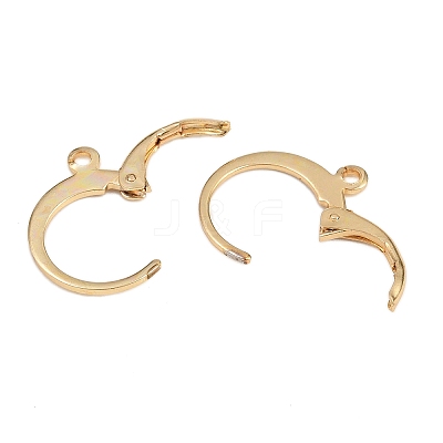304 Stainless Steel Leverback Earring Findings LS-STAS-F141-02G-1