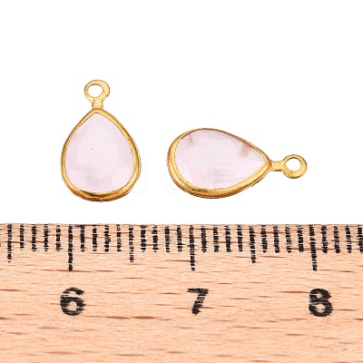 K9 Glass Charms GLAA-T023-10A-1