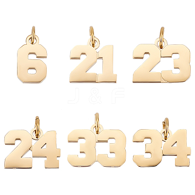 6Pcs 6 Style 316 Surgical Stainless Steel Charms STAS-UN0040-38G-1