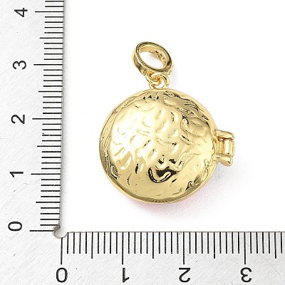 Brass Micro Pave Clear Cubic Zirconia Enamel Locket Pendants KK-A303-22A-G-1