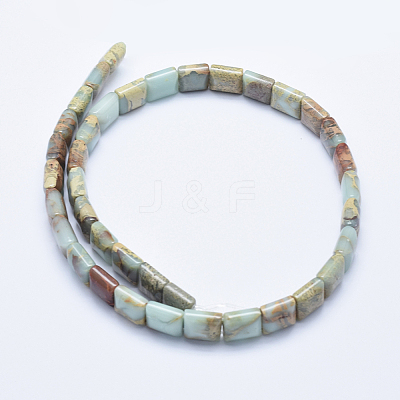 Natural Aqua Terra Jasper Beads Strands G-E444-19-1
