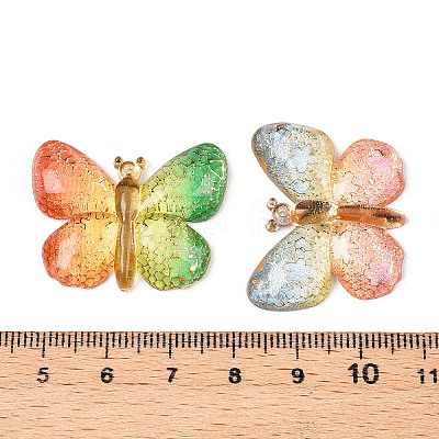 Printed Translucent Acrylic  Pendants OACR-T028-23C-1