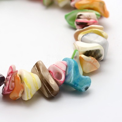 Dyed Natural Spiral Shell Stretch Bracelets BJEW-E267-01-1