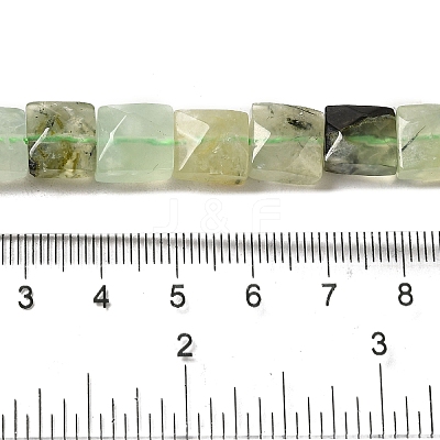 Natural Prehnite Beads Strands G-C109-A05-01-1