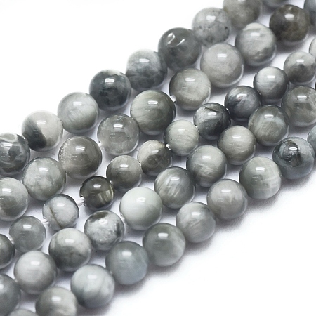 Jewelry Beads Findings Natura Eagle Eye Stone Beads Strands, Round, 10mm, Hole: 1mm, about 41pcs/Strand, 15.94