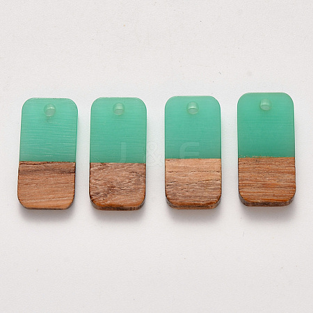 Two-tone Transparent Resin & Walnut Wood Pendants RESI-S384-008A-B03-1